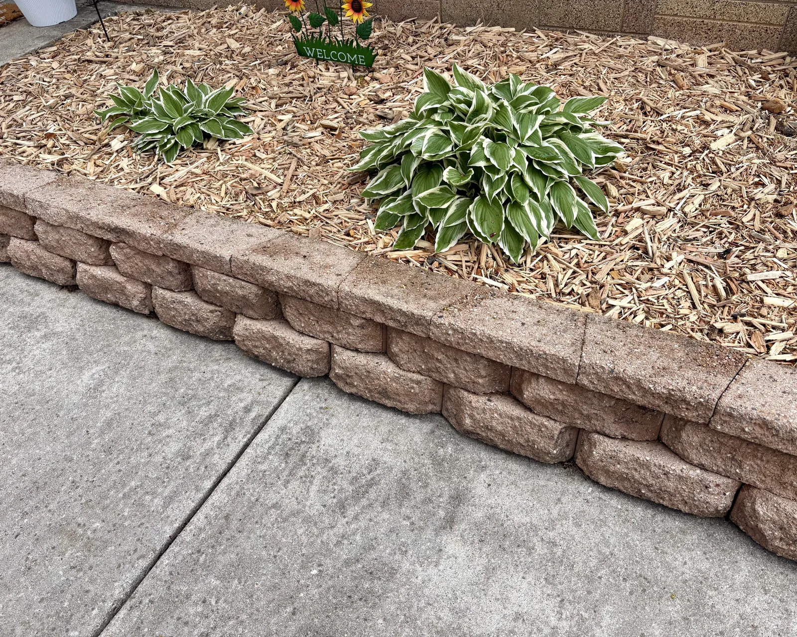 Landscaping concept 1